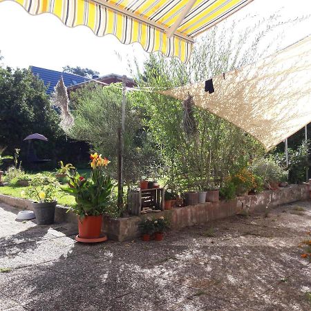 Ferienwohnung Lerchennest Georgensgmund エクステリア 写真