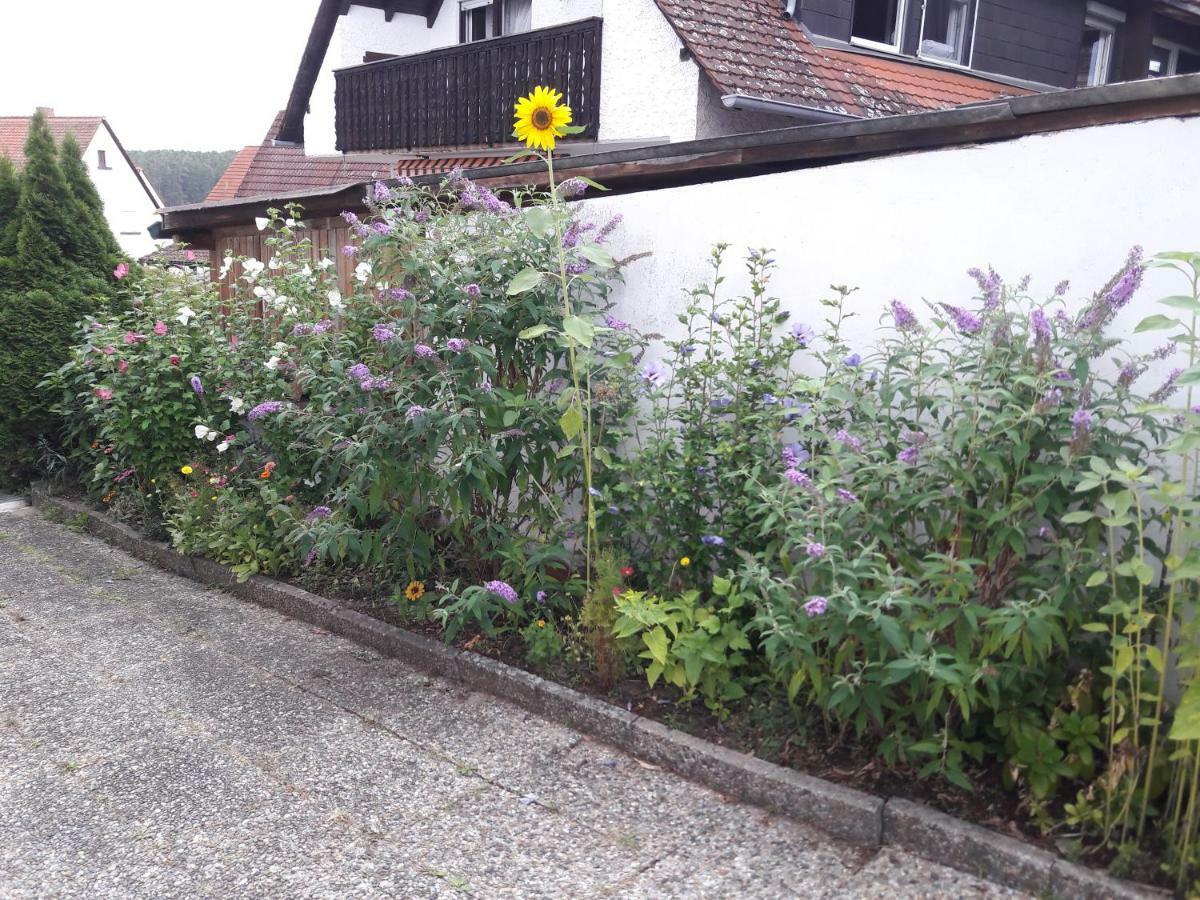 Ferienwohnung Lerchennest Georgensgmund エクステリア 写真