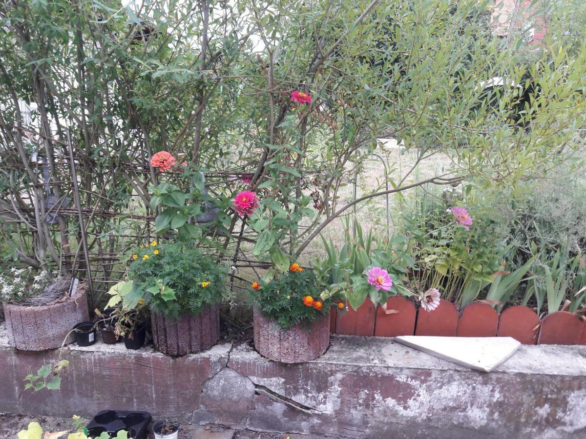 Ferienwohnung Lerchennest Georgensgmund エクステリア 写真